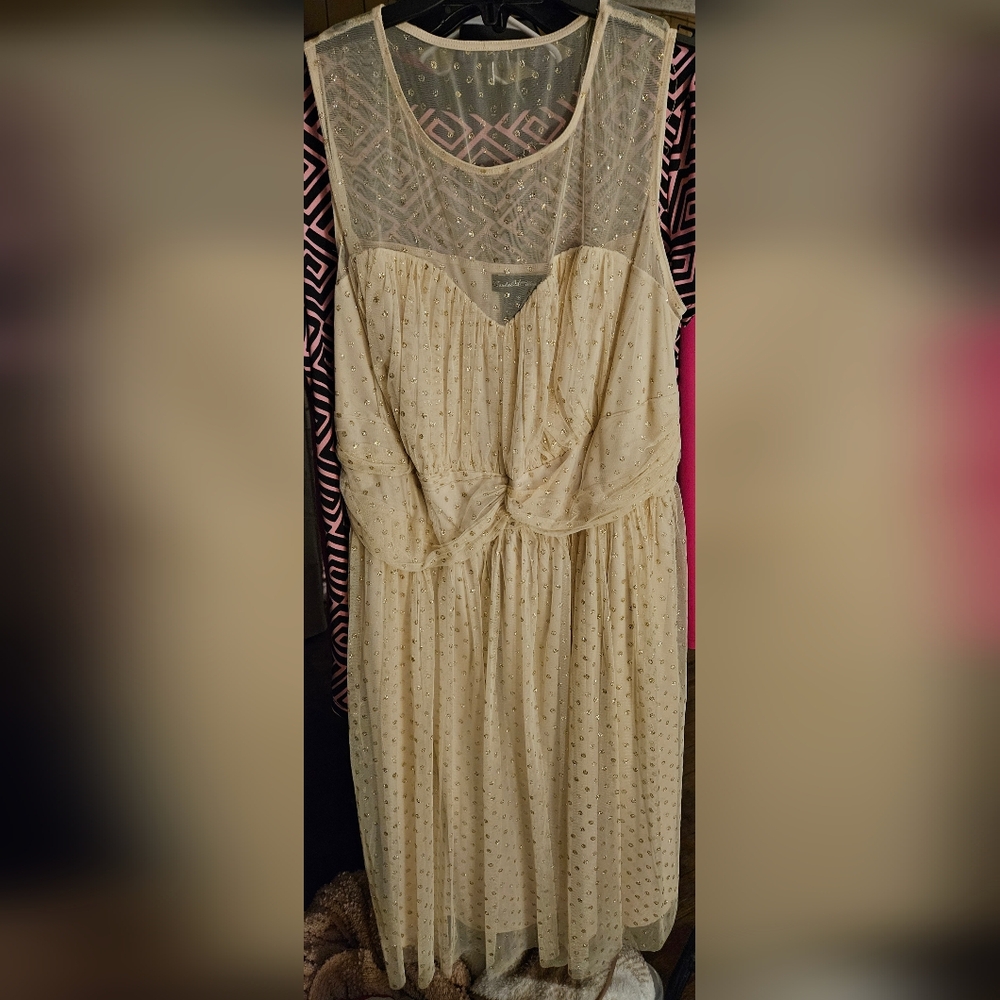 Elegant Sleeveless Dress
